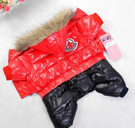 Winter Pet Dog Clothes Wear Jacket Small Medium Big Pet Dog Fashion Clothes For Dog XS S M L XL XXL Jumpsuit Girl Summer - Image 2