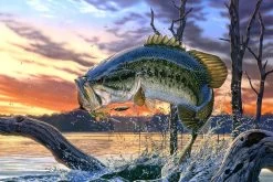 Bass Fishing Lake Sunset Painting Poster Art Silk Fabric Home Decoration Print
