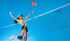 International Match Standard Official Sized Volleyball Net Netting Replacement