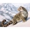 HOME BEAUTY 40x50cm Picture Paint On Canvas Diy Digital Oil Painting By Numbers Drawing Home Decor Craft Animals Snow GX7471