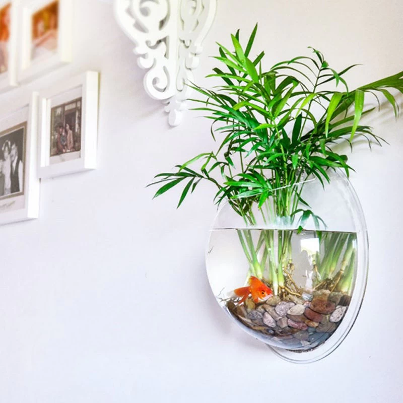 Home Decoration Pot Plant Wall Mounted Hanging Bubble Fish Bowl Acrylic Bowl Fish Tank Aquarium