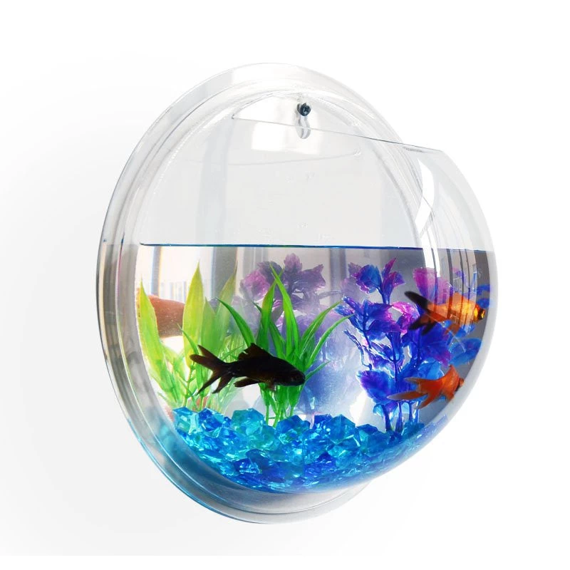 Home Decoration Pot Plant Wall Mounted Hanging Bubble Fish Bowl Acrylic Bowl Fish Tank Aquarium - Image 2