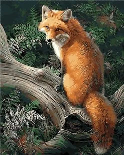 Frameless Painting By Number Paint By Numbers For Home Decor Picture Oil Painting For Living Room 4050 Fox On The Tree